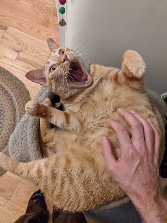 Good Morning Everybody From Tater