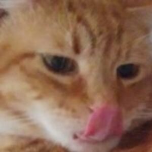 jeremyfitzgerald932 avatar