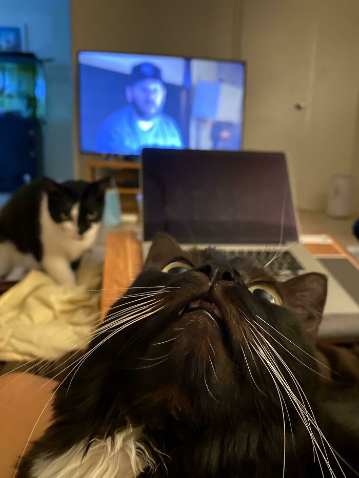 Am I Beautiful, Mother?