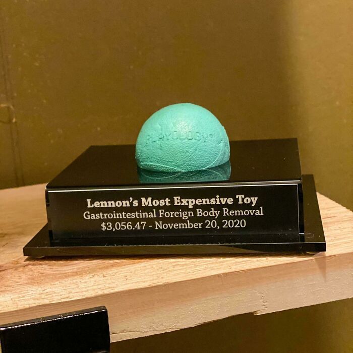 My Husband Had A Baseball Display Case Customized For Our Dog’s Foreign Body Removal