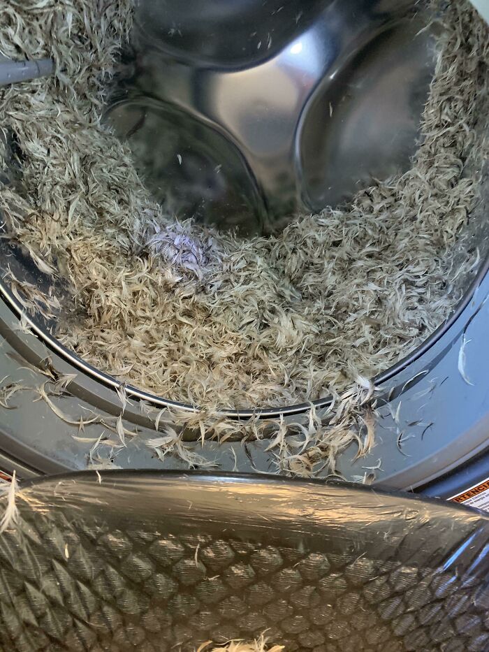 If You’re Ever Tempted To Machine Wash A Down Pillow… Maybe Don’t