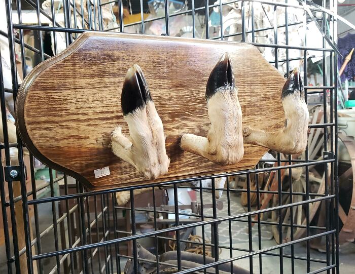 There's A 50/50 Chance I'm Going Back To Buy It