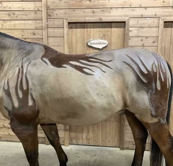 Picture On Tumblr With No Credit, Sadly