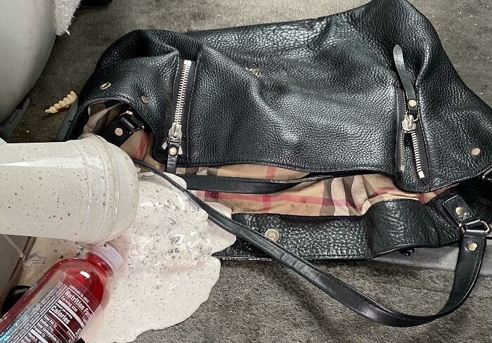 I’ve Been Promising My Son A Milkshake For Days. Finally Swung Through To Pick Up One For Him. The Scene When We Got Home