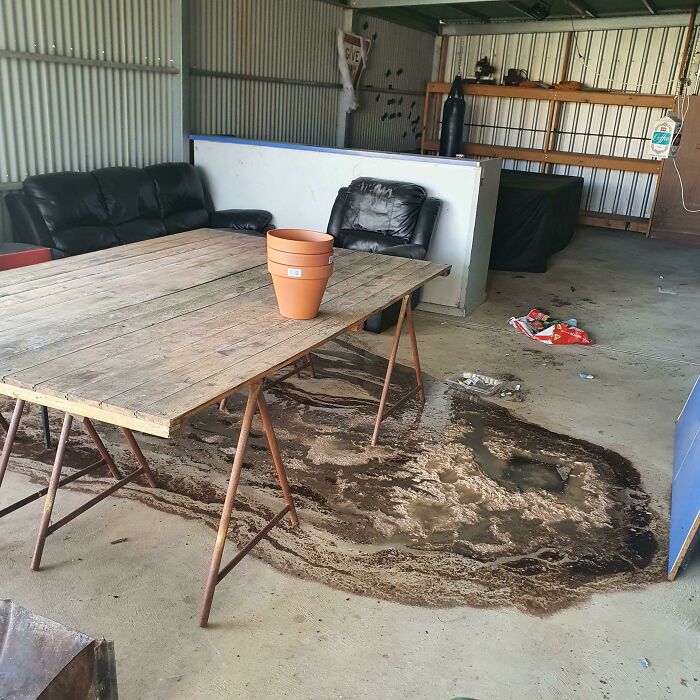 My Back Veranda After The Neighbour Next Door, With Which I Share A Septic System, Flushed Paper Towels Down Their Toilet
