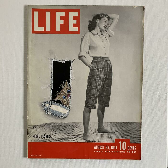 Tossing My Hat In The Ring After Seeing All These Cool Peeping Cat Posts!