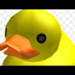 georhtroduck avatar
