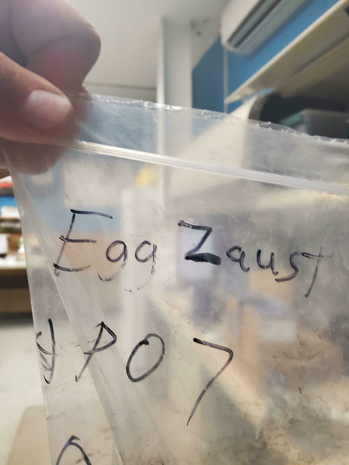 Some Mechanics Are Unbearably Stupid. Someone Labeled The "Egg Zaust" Clamps