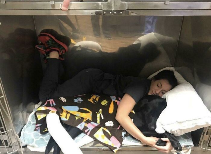 We Really Take Post-Op Care Seriously At My Job. Cuddles Is The Best Medicine