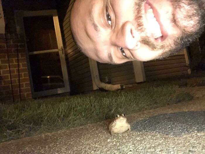 For The Past Month, This Frog Jumps From Out Of The Grass Onto The Sidewalk Each Night When We Get Home. This Is My Boyfriend Taking A Selfie With Him. His Name Is Jamal