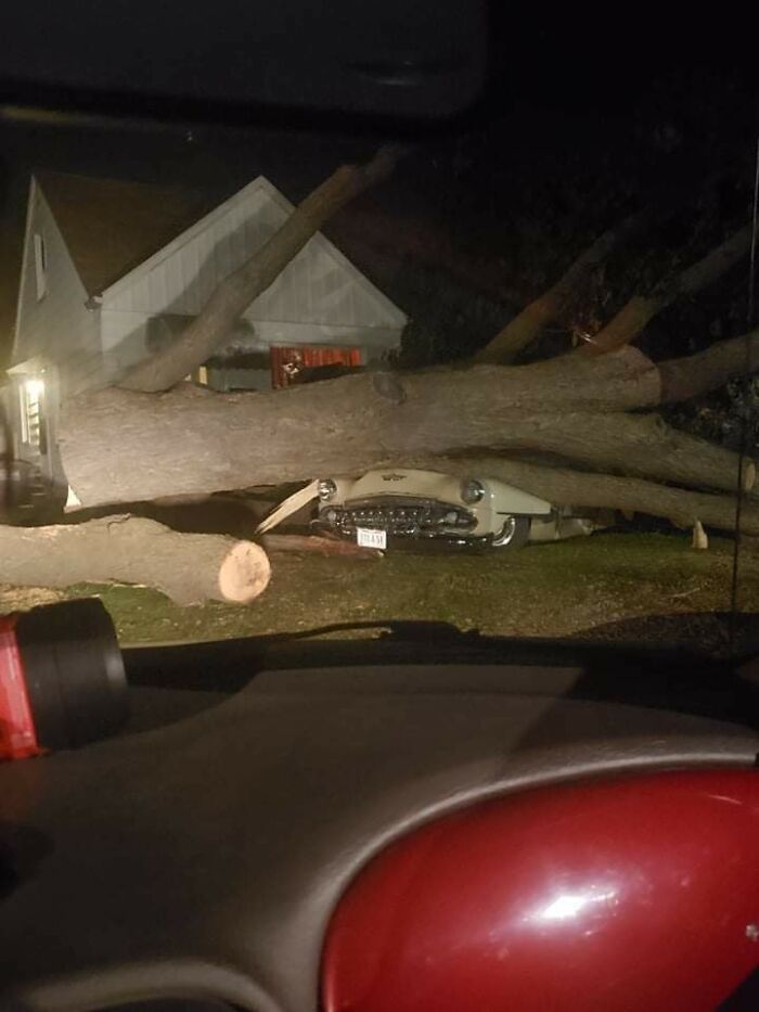 Tree Fell On Some Sort Of Classic Car