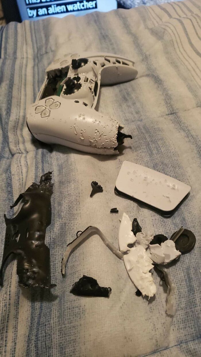 So Finally After A Year I Was Able To Get A Ps5. My Dog Was Excited Too