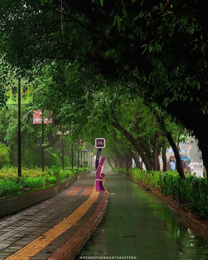 New Cycling Lane In Delhi, A Sign Of Things To Come For The Whole City