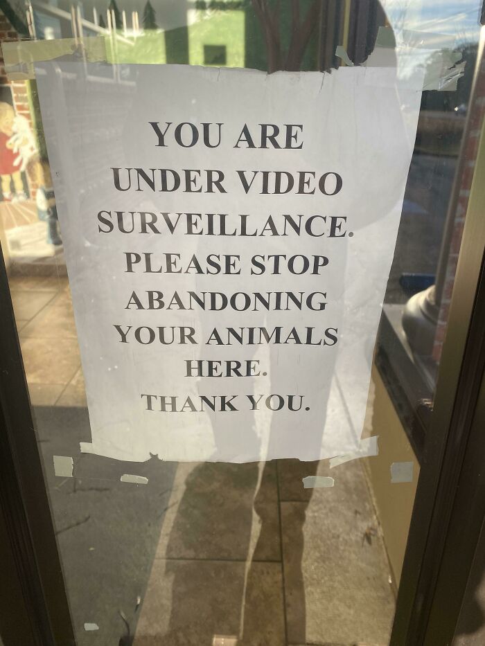 My Local Vets Office...