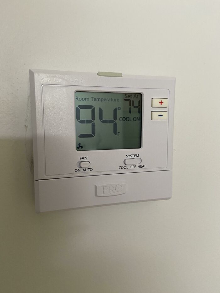 Ac Went Out Yesterday, Haven’t Stopped Sweating In 24 Hrs And My Cats Are Having Heat Stroke