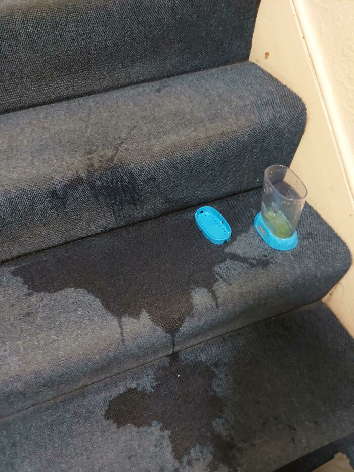 I Dropped The Sea Monkeys On Moving Day