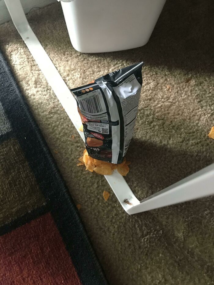 My Chips Fell Off My Desk In The Worst Way Possible