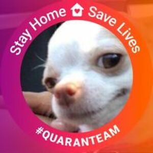 allen_mccaslin avatar