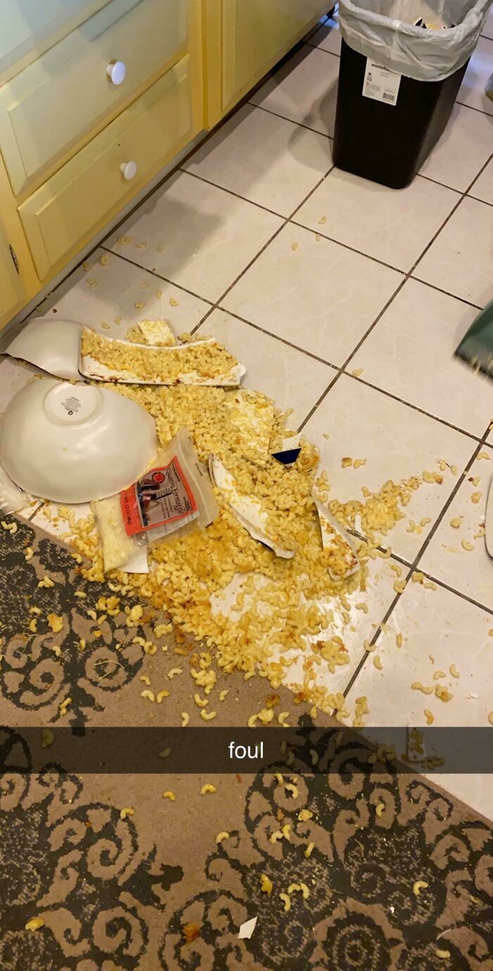 Perfect Start To Thanksgiving