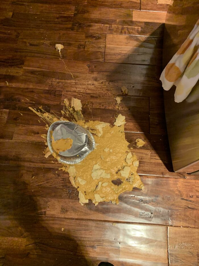 Really Looking Forward To Some Custard Pumpkin Pie For Thanksgiving