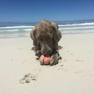 susankthomson avatar