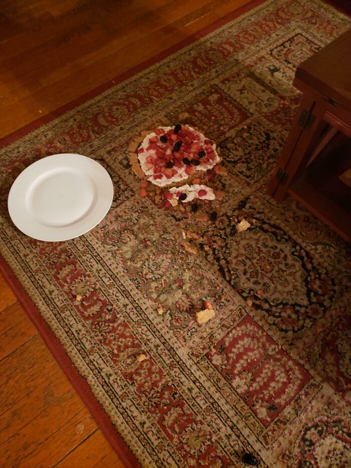 The Fruit Tart My Wife Made From Scratch. Happy Thanksgiving