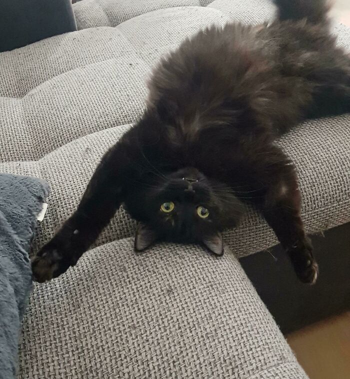 She Stayed Like This For Solid 10 Minutes Just Staring At Me