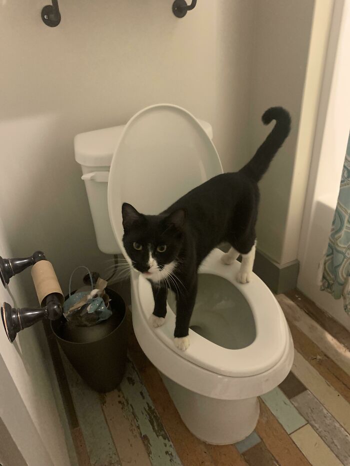 Idk Why Brad Is The Way That He Is