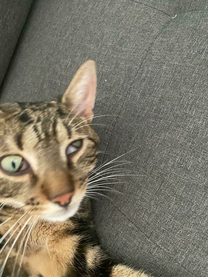 My Usually Very Handsome Boy Had A Good Nap