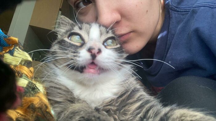 Was Just Trying To Give Rufus A Kiss