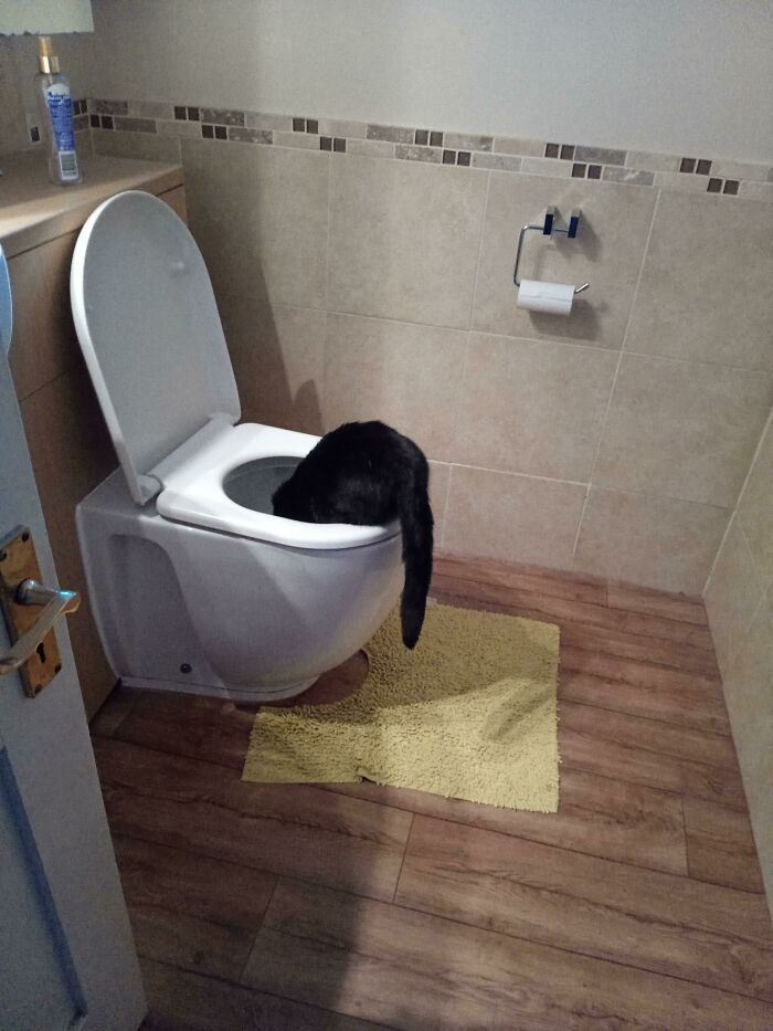 Why Does She Do This?