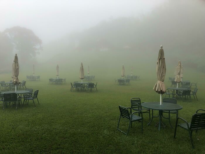 I Thought Y'all Would Like To See It