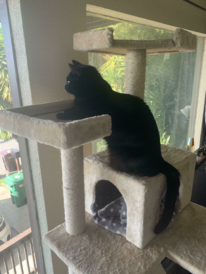 She Stayed Like This For Quite A While, Just Watching Her Street