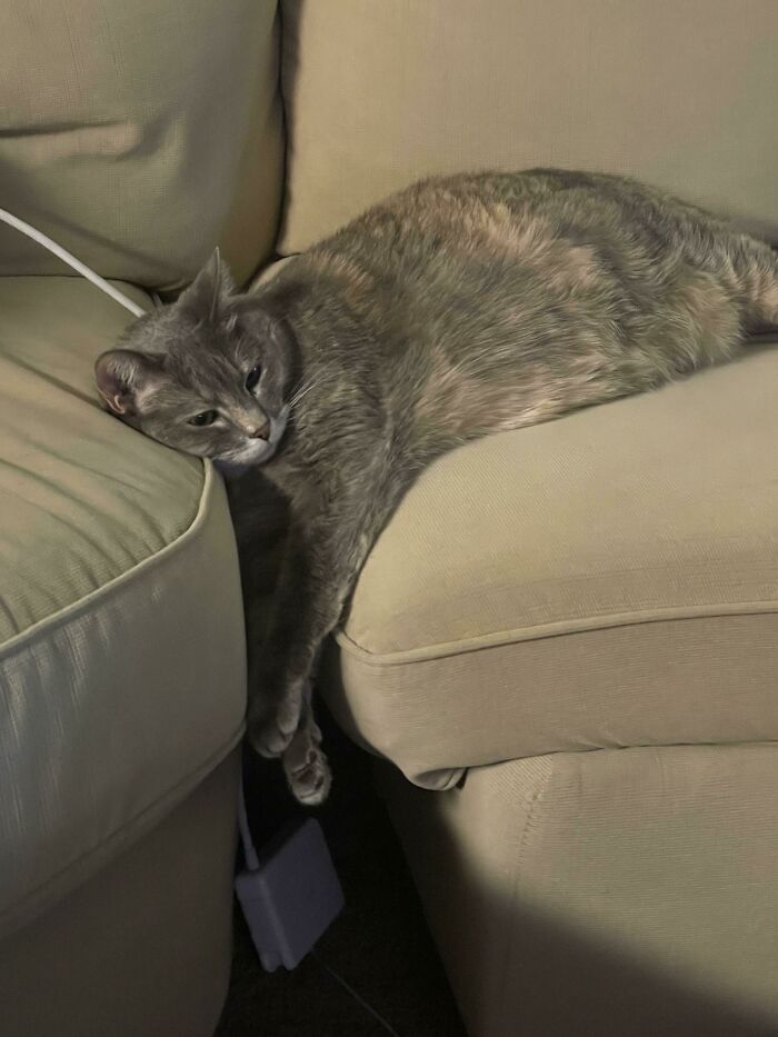 She Likes Watching TV Like This