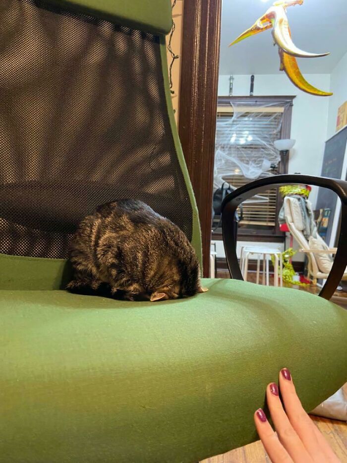 A Perfect Normal Way To Sleep