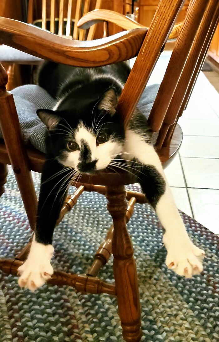 Henry's Version Of Blue Steel