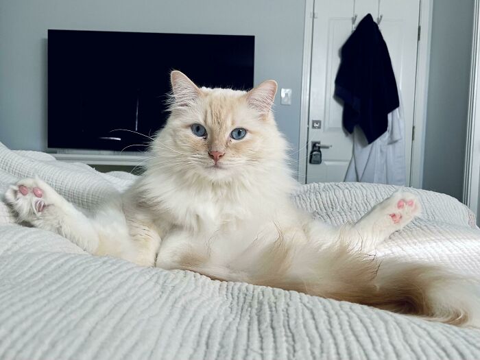 Not Sure Why He’s Looking At Me Like This But It’s Getting A Little Creepy