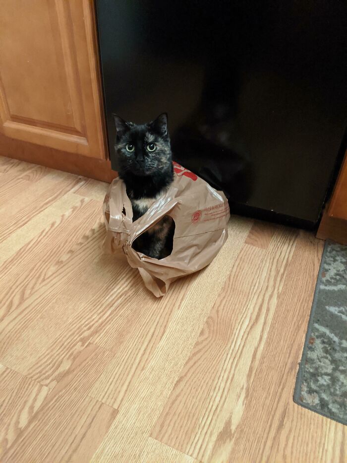 Its Called Fashion, Sweetie. Look It Up