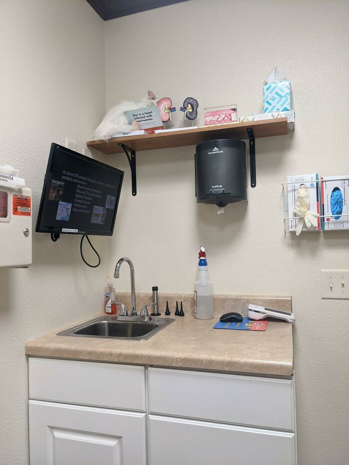 She Was The Talk Of The Clinic At Our Last Vet Visit! They Had To Get A Step Ladder To Get Her Down