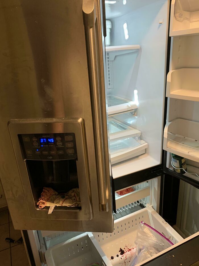 Refrigerator Decided To Call It Quits On The One Job It Had - Getting Cold! On The Day Before Thanksgiving