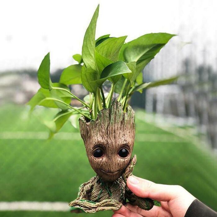 Groot Pot