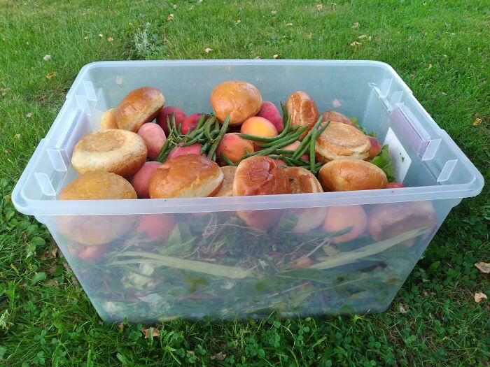 I Work For A Farmers Market And Take All The "Bad" Fruits And Veggies/Produce Scraps/Old Food To An Animal Sanctuary For The Critters To Enjoy!