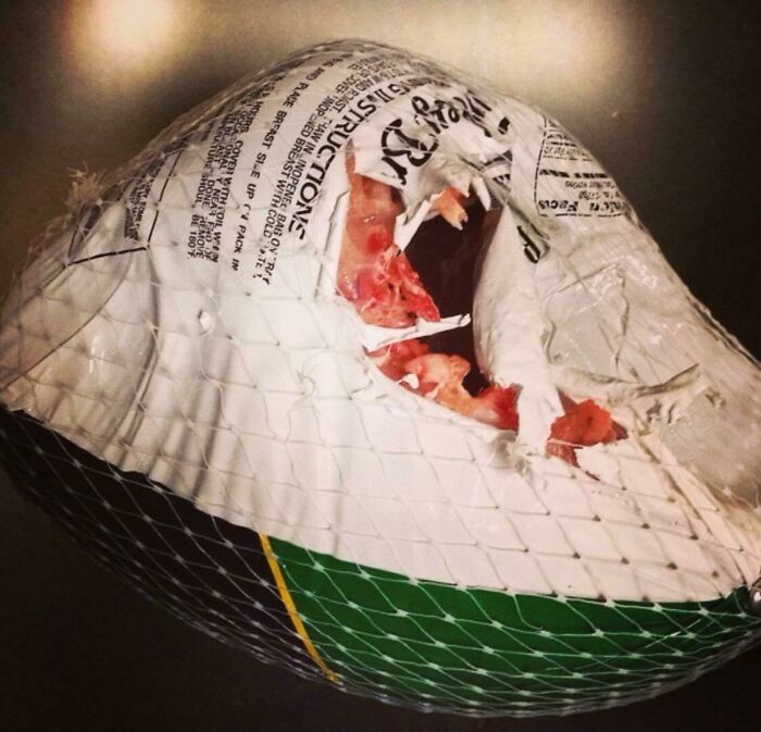 My Cat Ate My Turkey While It Was Thawing In The Sink For Thanksgiving