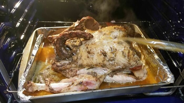 So Ummm Yeah What Did Your Thanksgiving Turkey Look Like?