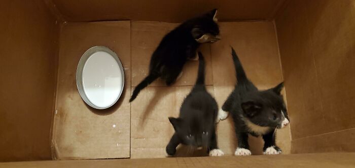 My New Biggest Score