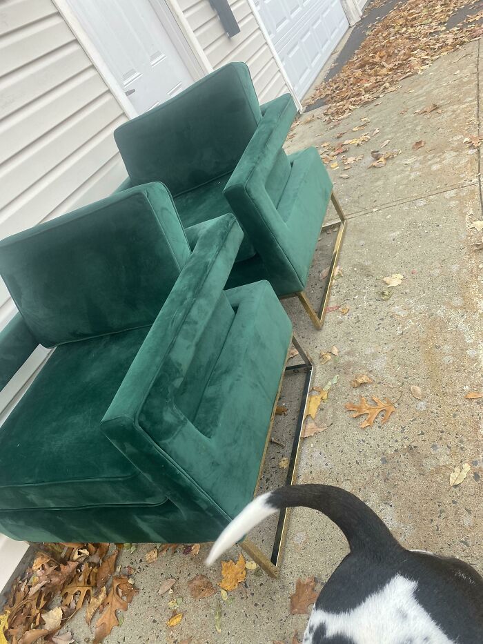 I Have Never Felt So Happy From A Dumpster Find