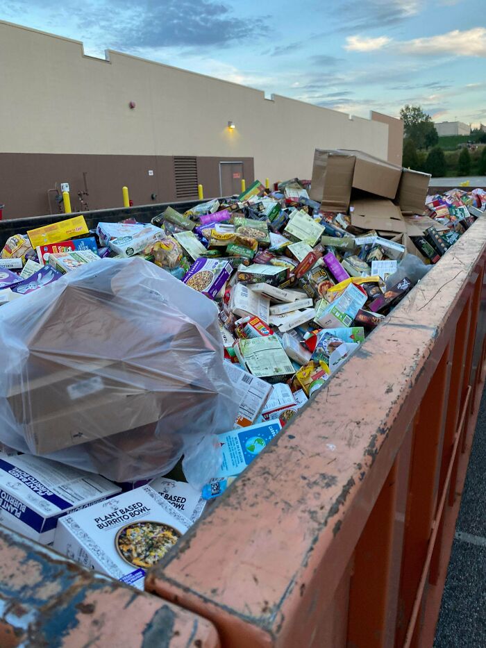 I’ve Died And Landed In Dumpster Nomad Heaven