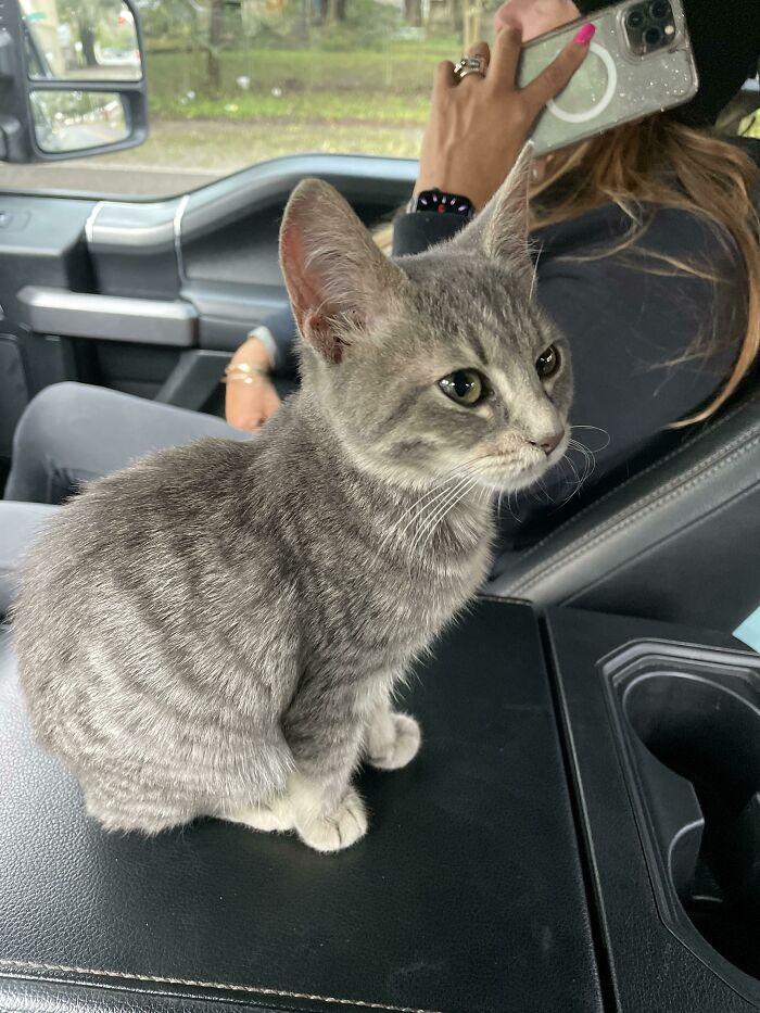 Found In The Dumpster Tied In A Trash Bag. What A Sweet Soul As Well. Poor Thing