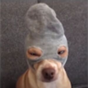 callumbeckwith avatar