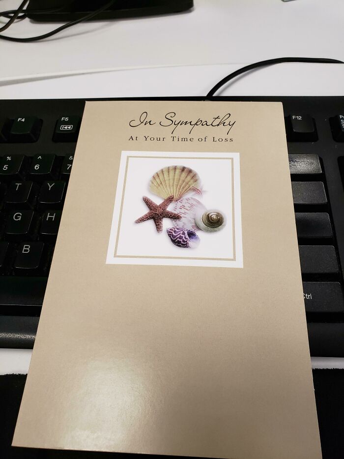 Quit My Job Today. Always Wanted To Do This